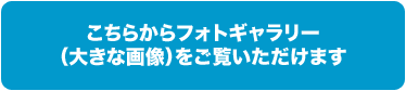 こちらからフォトギャラリー（大きな画像）をご覧いただけます