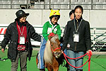東京農工大の馬とのふれあい
