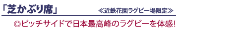 芝かぶり席≪近鉄花園ラグビー場限定≫