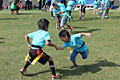 AIG Tag Rugby Tour