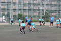 AIG Tag Rugby Tour