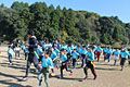 AIG Tag Rugby Tour