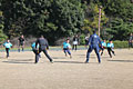 AIG Tag Rugby Tour
